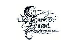 seahorse